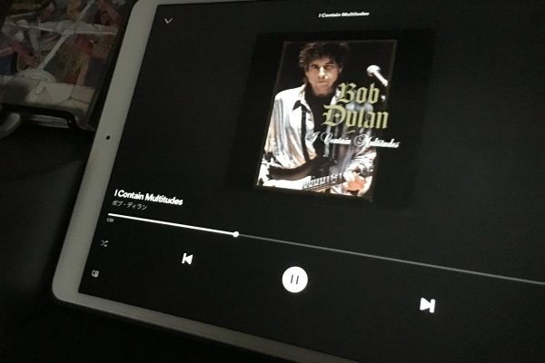 Bob Dylan. “I Contain Multitudes”